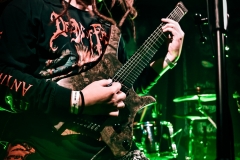 Rotten-Scalp_131